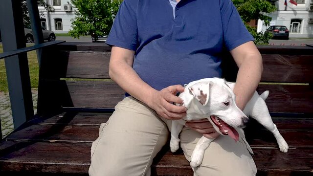 Man sitting in park with puppy