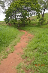 Obraz premium path in the park