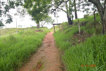 Obraz premium path in the park