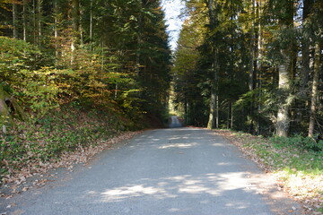 Forêt suisse