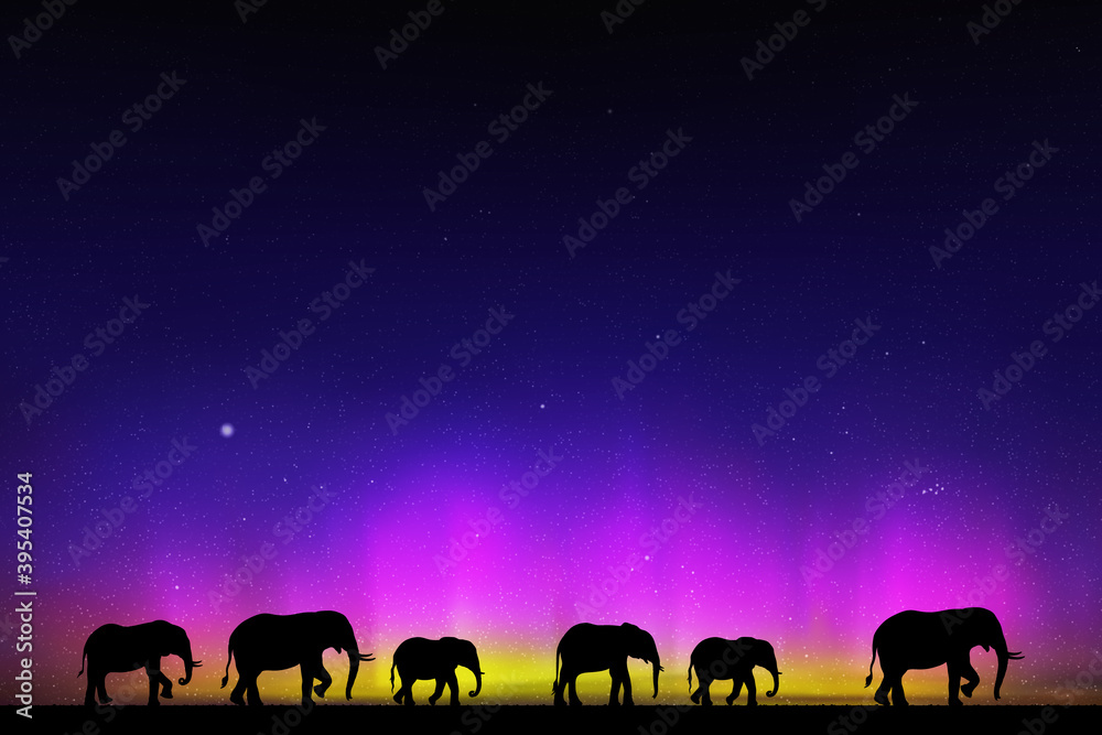 Sticker elephant family at starry night. animal silhouettes. aurora borealis