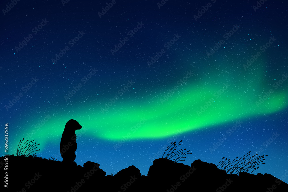Poster little bear at starry night. baby animal silhouette. northern lights