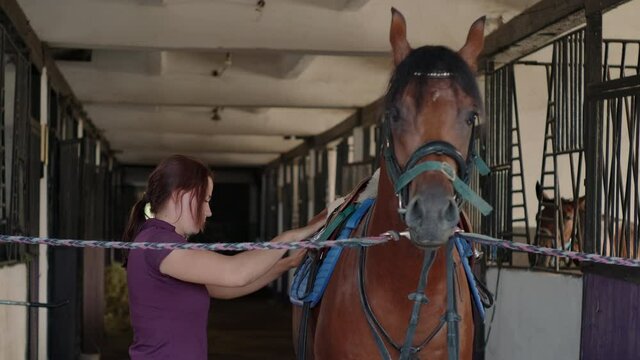 Placing the saddle on the horse