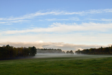 Nebelige Landschaft mit Wald und Wiese