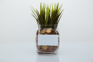 Plant growing out of coins in bank. Growing deposit concept.