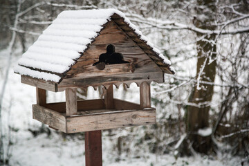 Bird box under the snow in winter. Bird feeder.