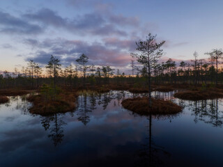 Obraz premium Sunset over a swamp. Autumn landscape. Wild nature
