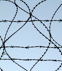 barbed wire