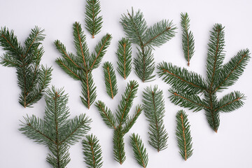 Christmas composition with fir twigs on white paper background
