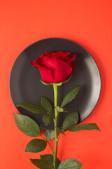 Closeup on red rose on the black plate on the red  background