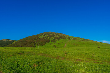 Fototapeta na wymiar Green mountain covered with forest on the blue sky background. Mala Fatra slovakia