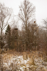 abandoned Orthodox Church among the trees