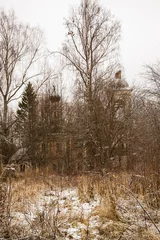 Foto auf Leinwand abandoned Orthodox Church among the trees © ork_0013