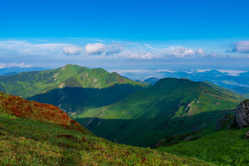 Fototapeta premium Green mountain covered with forest on the blue sky background. Mala Fatra slovakia