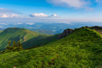 Green mountain covered with forest on the blue sky background. Mala Fatra slovakia