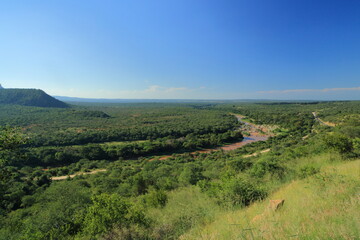 Fototapeta premium South Africa, JAR, Kruger National Park