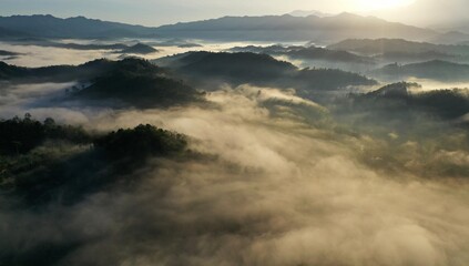Tropical rainforest in the morning sunrise, Stunning view of Borneo Tropical Rainforest with mist.