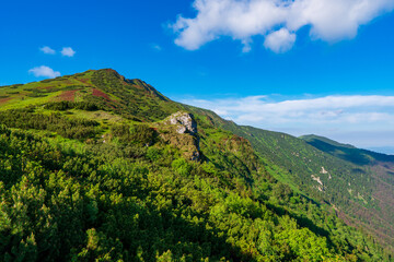 Obraz premium Green mountain covered with forest on the blue sky background. Mala Fatra slovakia