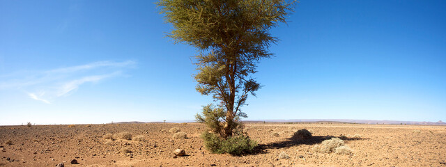 Fototapeta na wymiar 4x4 SUV in the desert