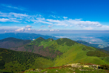 Naklejka premium Green mountain covered with forest on the blue sky background. Mala Fatra slovakia