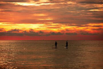 Fototapeta premium Sea sup surfing under amazing dark sunset sky. Two people on Stand Up Paddle Board. Orange sky. Paddleboarding Concept. Phuket. Thailand.