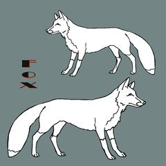 hand drawn isolated silhouette of a Fox 