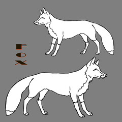 hand drawn isolated silhouette of a Fox 