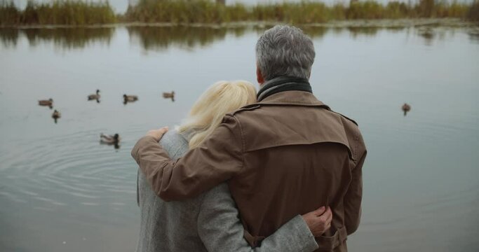 Loving mature couple looking at the lake with ducks in park, enjoying closeness