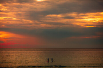 Naklejka na ściany i meble Sea sup surfing under amazing dark sunset sky. Two people on Stand Up Paddle Board. Orange sky. Paddleboarding Concept. trips to warm destinations. Phuket. Thailand.