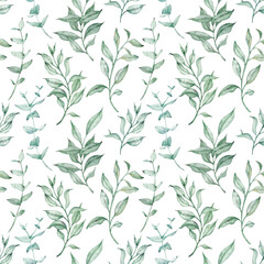 Watercolor green herbs and eucalyptus pattern. Vintage floral background. Botanical leaves and branches illustration.