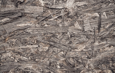 Texture of an old weathered wooden board
