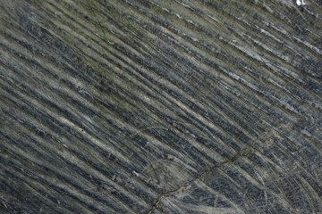 Abstract background. Wooden bright gray and blue surface, traditional patterned decorative material for carpentry.