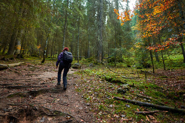 Fototapeta premium Active hiker woman on a trail