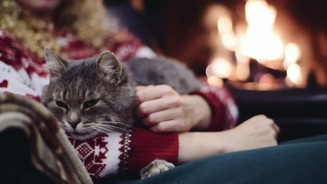 Young female in red christmas sweater sitting in the armchair with gray cat on her legs by the fireplace