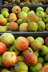 Fresh red and yellow apples at a farmers market