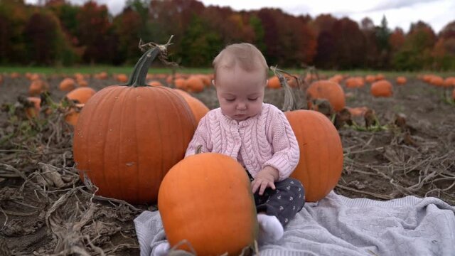 beautiful baby sitting with a pumpkin on a field