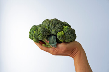 Fototapeta na wymiar Broccoli on hand in a bright background 