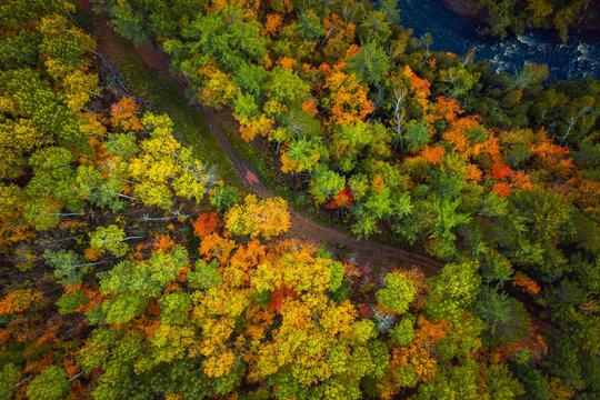 Beautiful look down photograph of a muddy dirt path curving through the forest near the Montreal River with gorgeous yellow, orange, red and green autumn foliage or leaves on the treetops below.