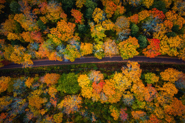 Beautiful look down photograph of a narrow paved road curving through the forest near the with...