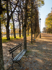 View on a bench and lamp post in the blossac park in Poitiers. Poitiers is located in west-central France. Photographed in the fall, orange leaves on the ground.