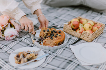 cozy family picnic with pie