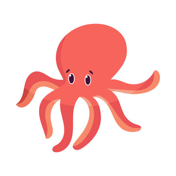 Isolated cartoon of a octopus - Vector illustration