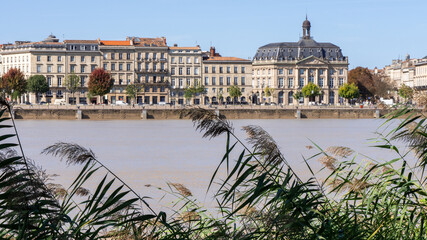 View on the Garonne river, behind plants in Bordeaux, a city in the southwest of France. 