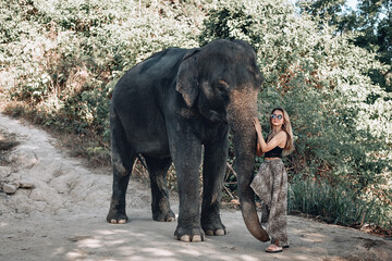 Fototapeta premium Wonderful caucasian model in a leopard skirt posing in the forest with black elephant. Phuket. Thailand