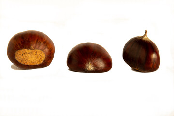group of chestnuts  isolate on a white background
