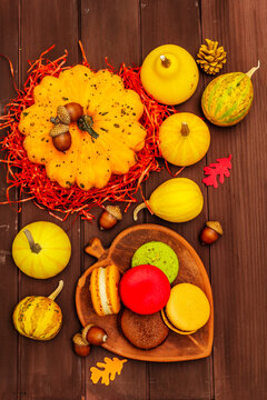 French macarons in autumn colors