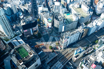 Shibuya crossing