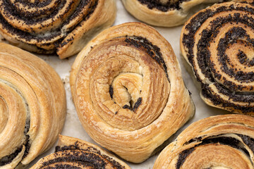 puff pastry with poppy seeds on a plate. close up view. various of a tasty pastry. homemade baking concept. background backdrop. studio shot