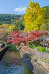 Fototapeta na wymiar 京都の山科疏水