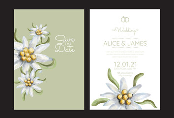 Edelweiss. Invitation to the wedding with edelweiss flowers